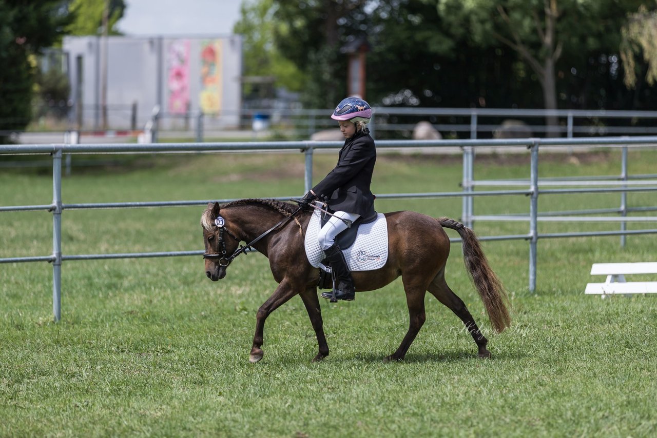 Bild 9 - Pony Akademie Turnier